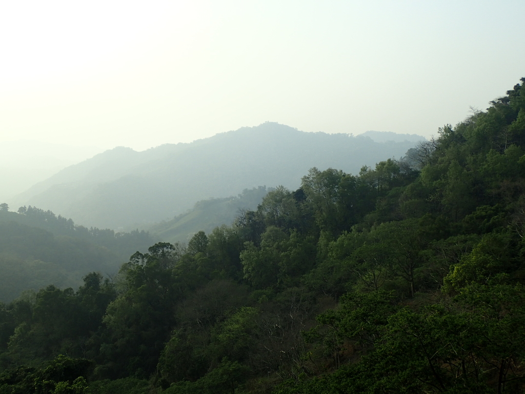 P3167384.JPG - 太平  赤崁頂之  暮色