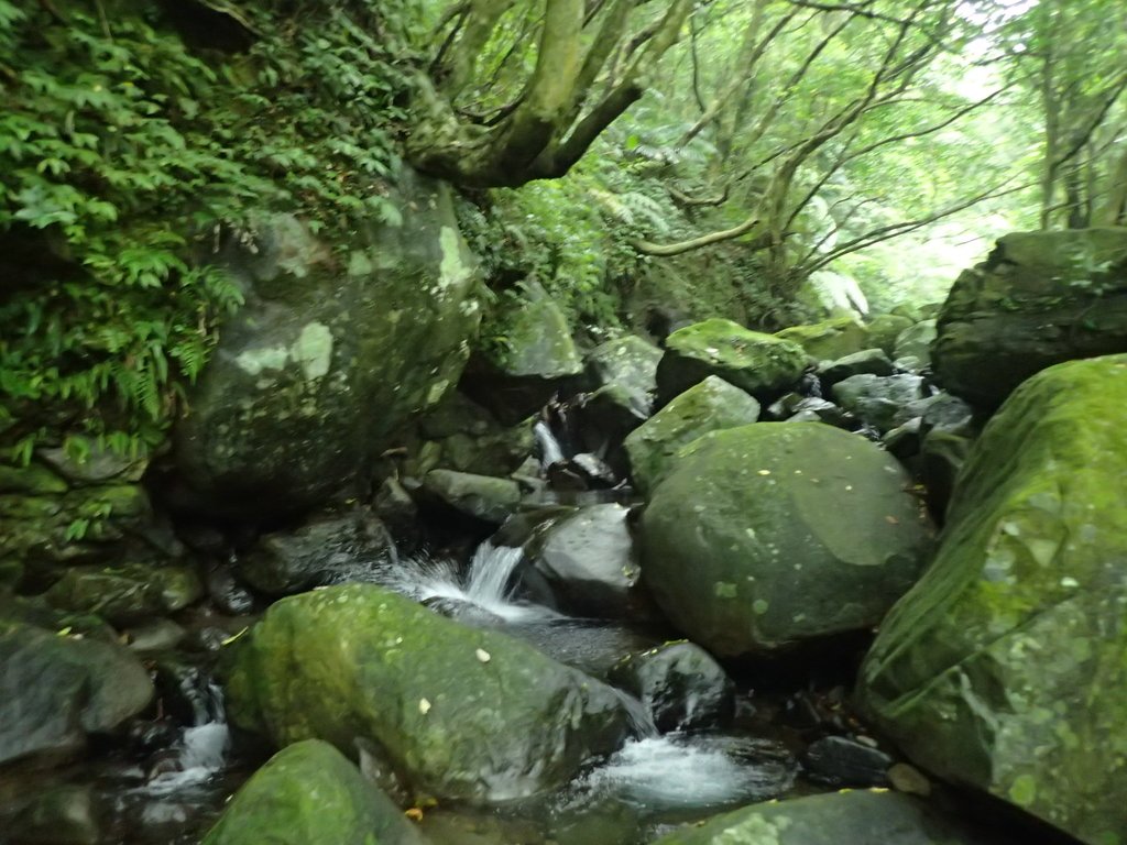 P6114279.JPG - 三芝  大屯溪古道