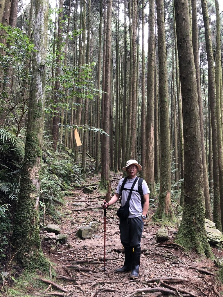 IMG_7719.JPG - 台中  和平  橫嶺山自然步道