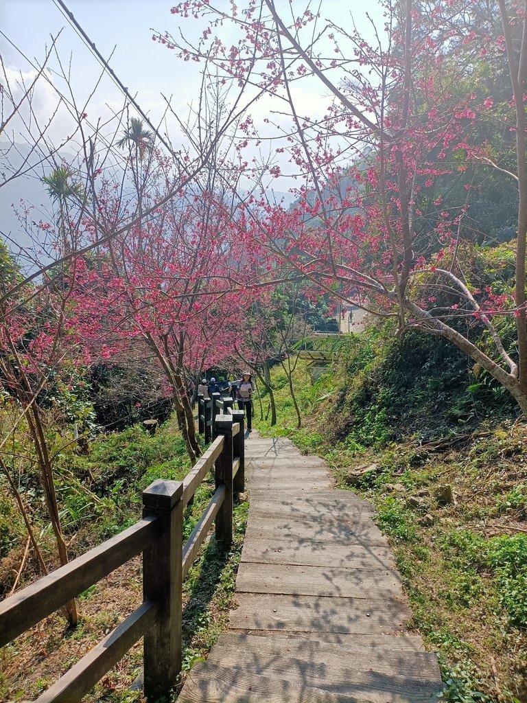 IMG20210130103409.jpg - 竹崎  獨立山登山步道