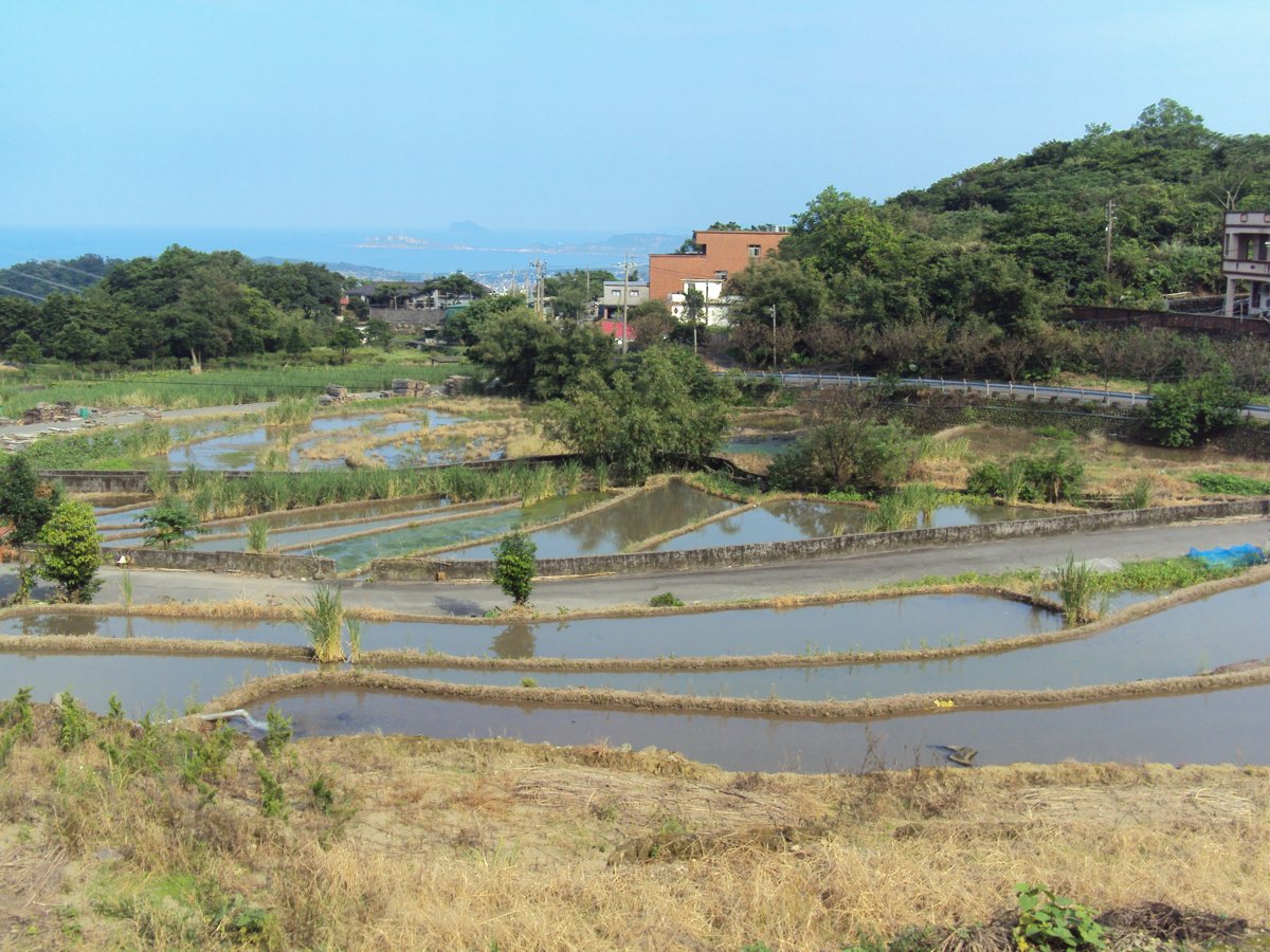 DSC09001.JPG - 金山  葵扇湖田野風光(一)