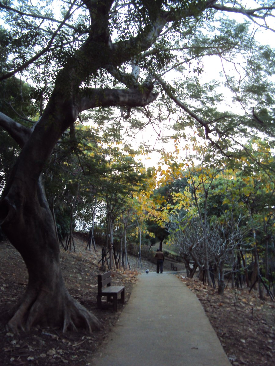 DSC00714.JPG - 彰化  八卦山公園