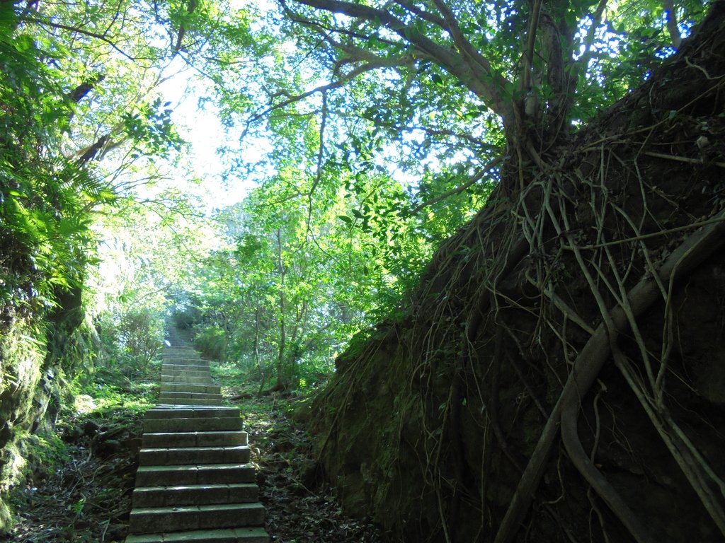 DSC01002.JPG - 九份  琉榔路觀光步道