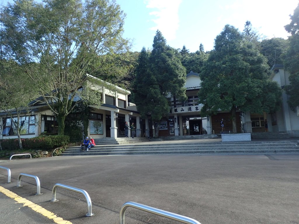 PB257458.JPG - 復興  東眼山森林步道