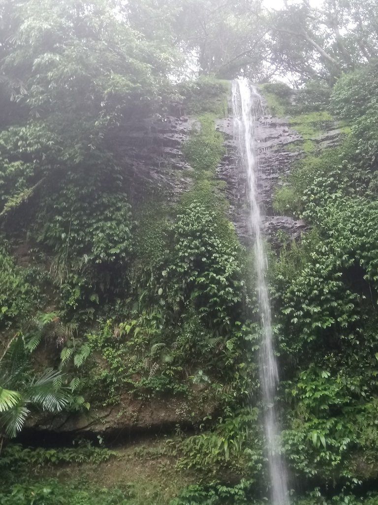 DSC_8445.JPG - 深坑  炮子崙登山步道