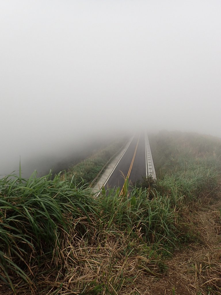 P1203522.JPG - 瑞芳  牡丹山