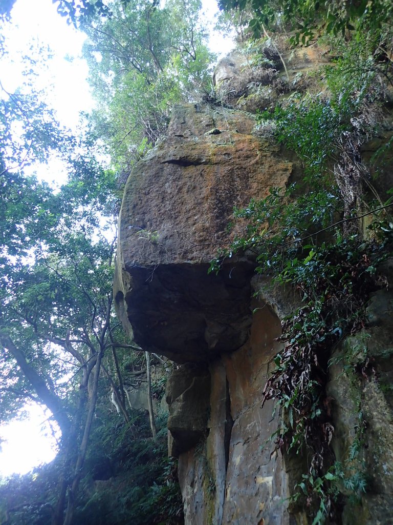 PB300541.JPG - 中和  圓通禪寺之  摩崖石刻