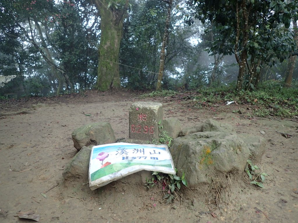 P2107538.JPG - 大溪  溪洲山登山步道