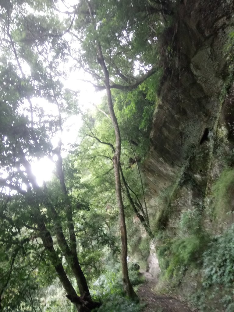 DSC_1292.JPG - 石壁山  嘉南雲峰步道