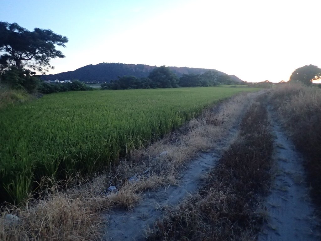 P6184476.JPG - 大安溪  堤岸暮色