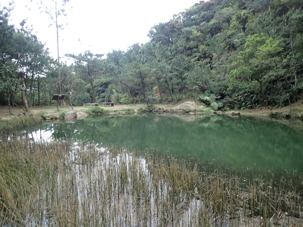 P3160129.JPG - 汐止  柯子林山  如意湖