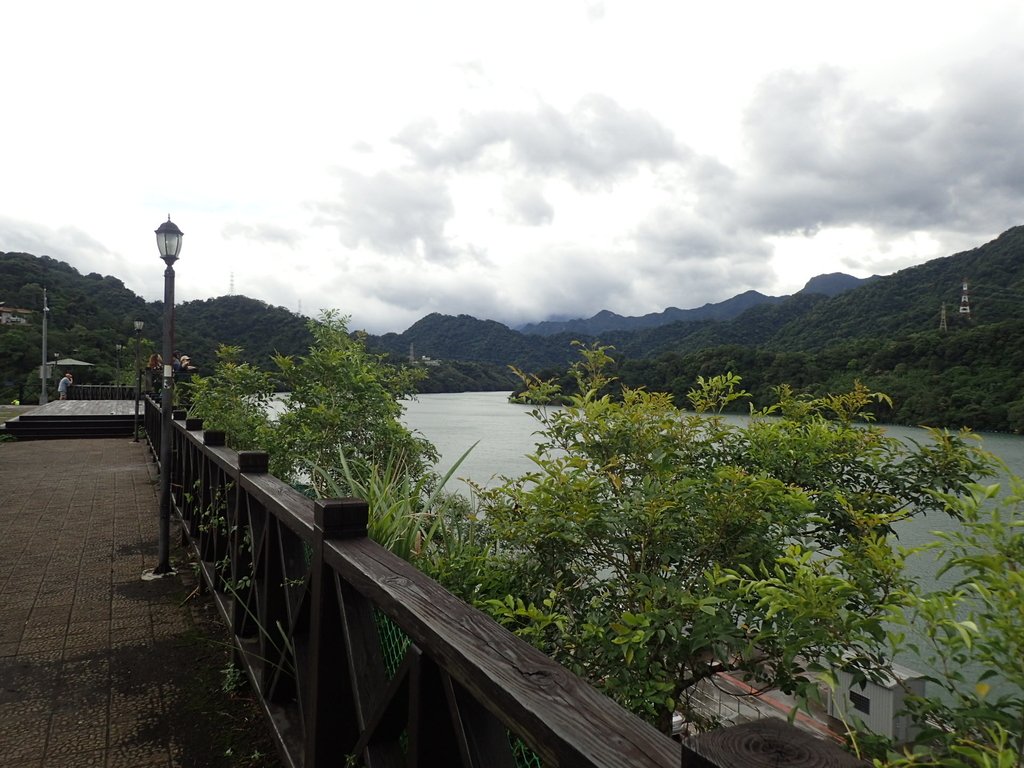 P8247035.JPG - 雨中漫遊  石門水庫