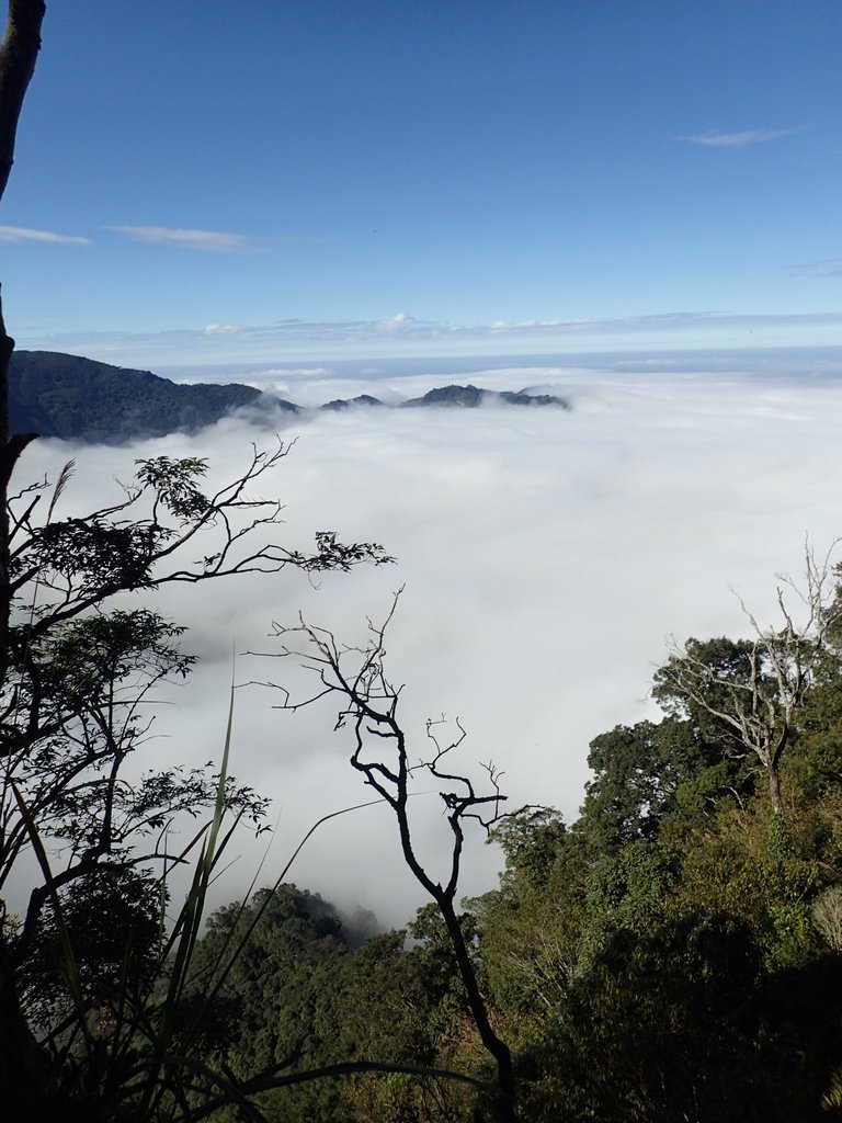 PC055903.JPG - 鹿谷  溪頭  南鳳凰山