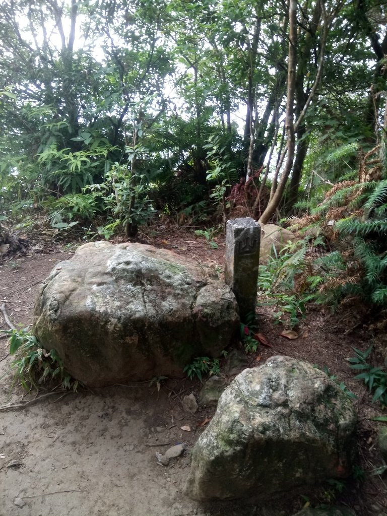 DSC_1040.JPG - 新竹  五指山登山步道