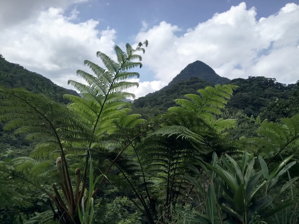 DSC_4708.JPG - 坪林  石嘈  尖山湖瀑布