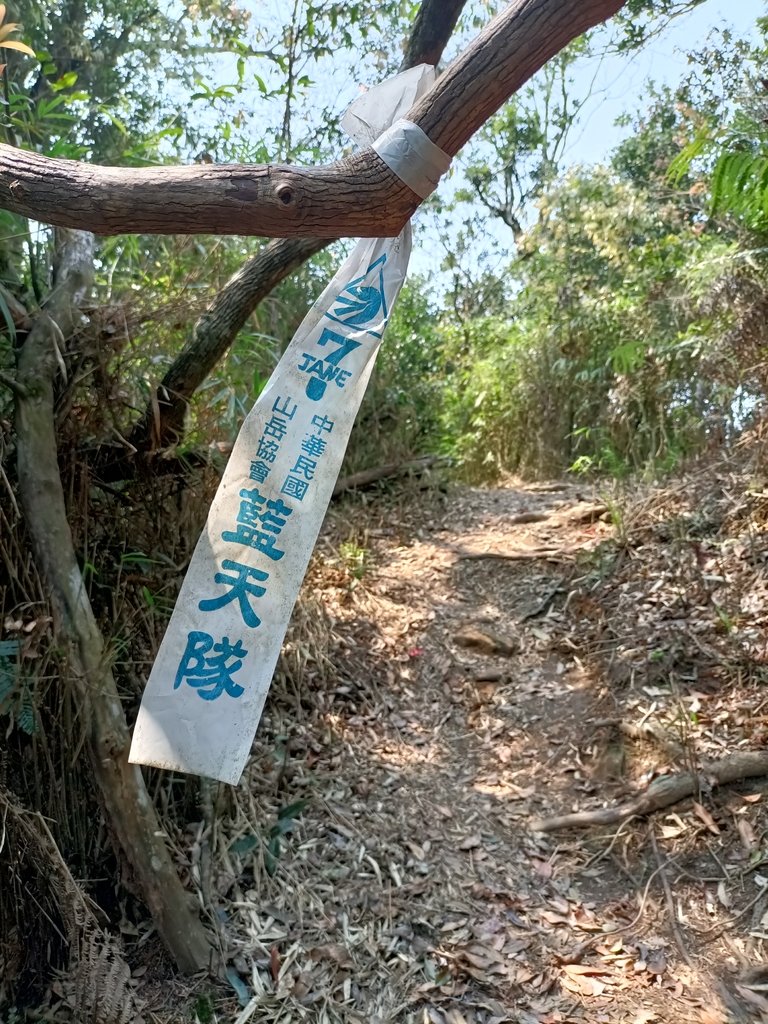 IMG20210403103103.jpg - 五峰  鵝公髻山登山步道  (01)