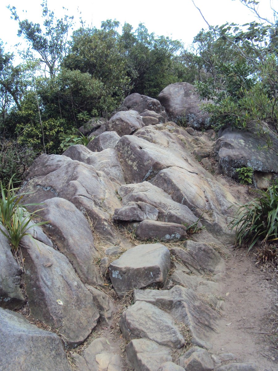 DSC06689.JPG - 內湖  金面山步道