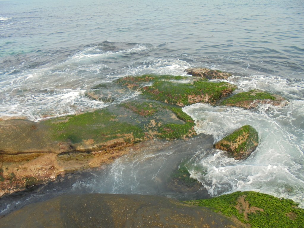 DSC01696.JPG - 金山  獅頭山  神秘海岸