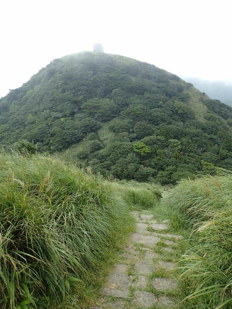 P9238244.JPG - 北投  面天山  向天湖步道