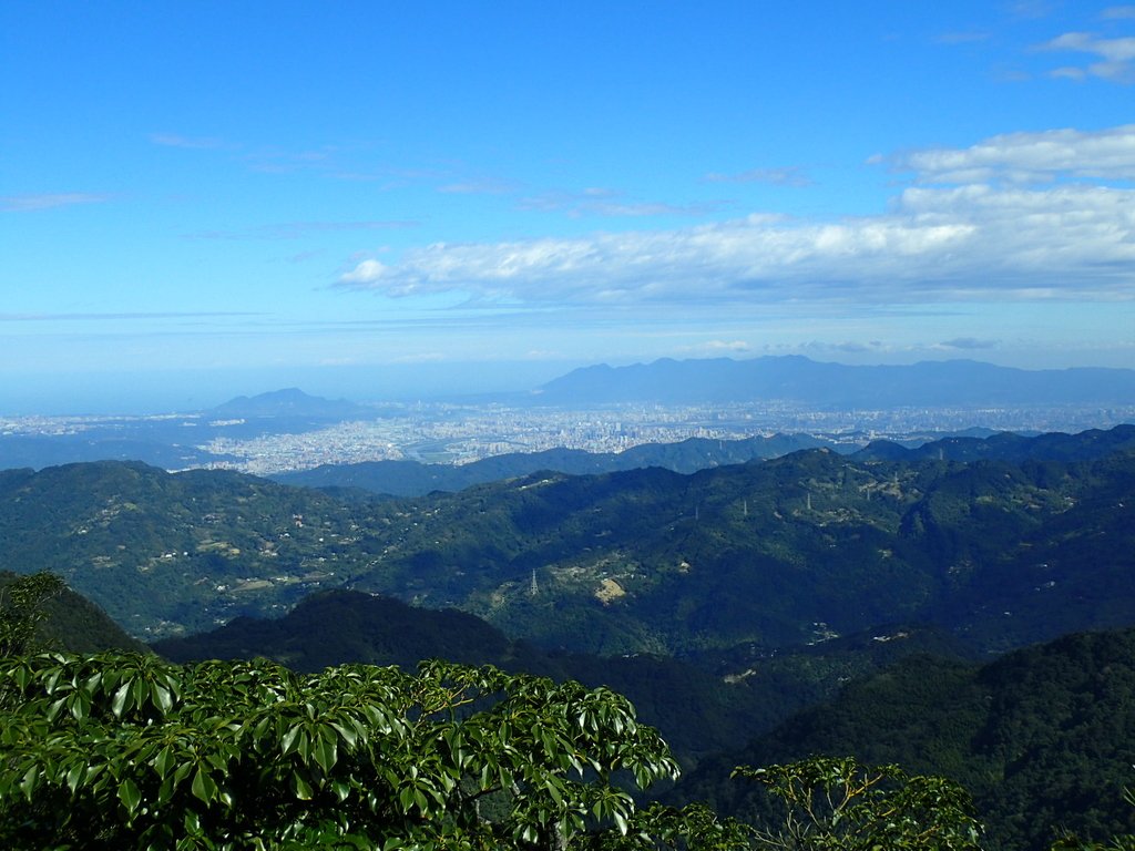 PB257508.JPG - 復興  東眼山森林步道