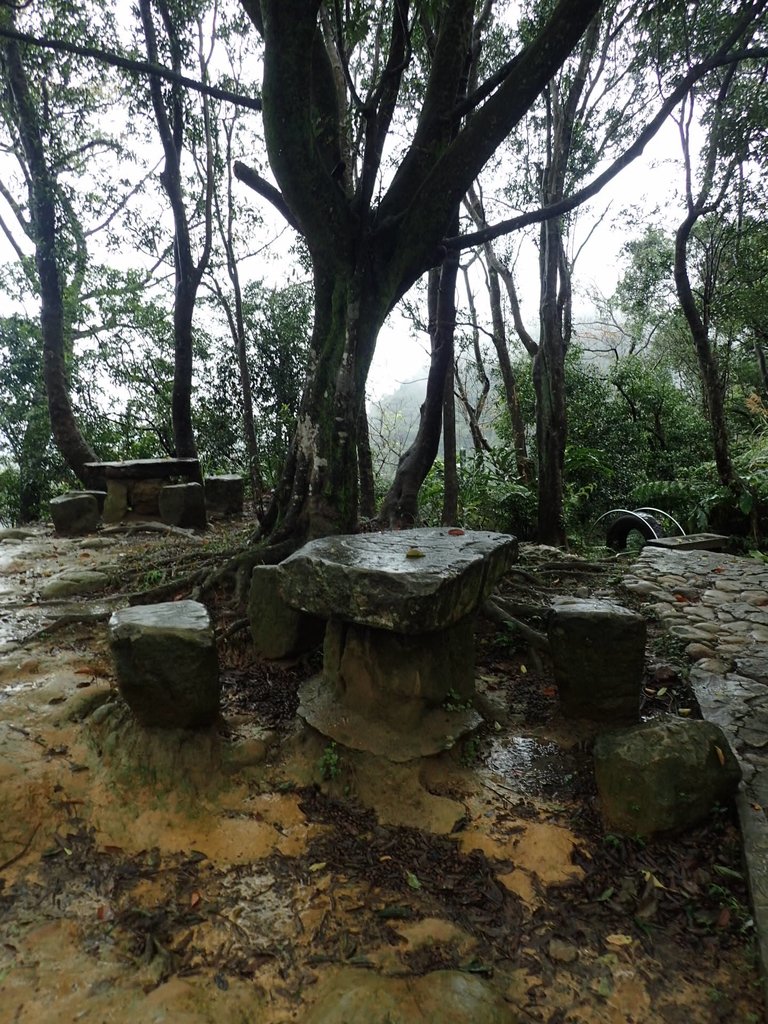 P1062038.JPG - 土城  天上山  登山步道