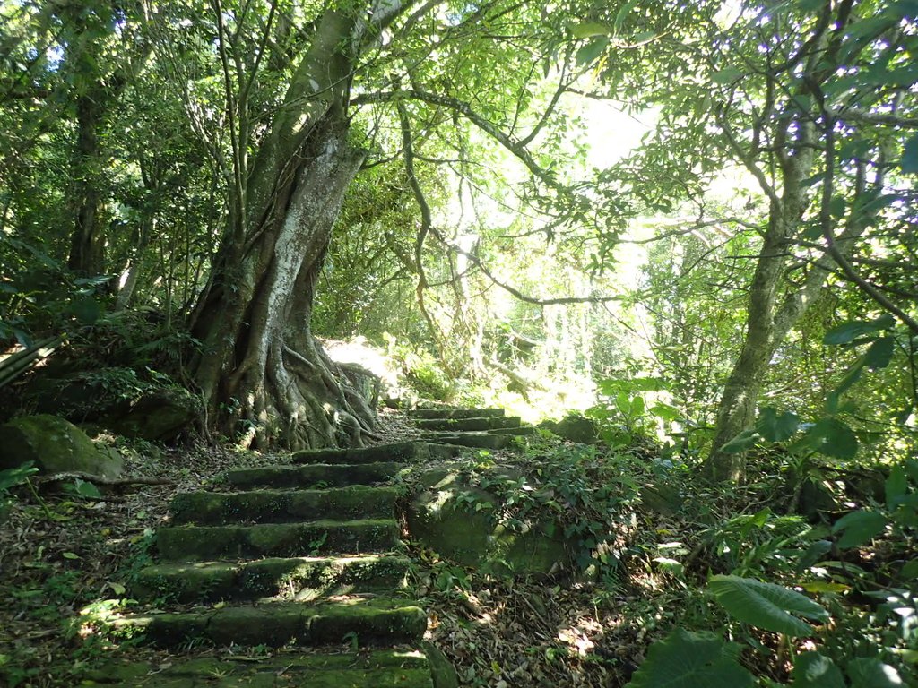 PB247136.JPG - 北投  中正山登山步道 01