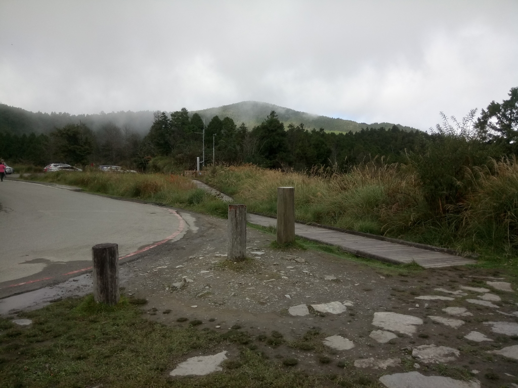 DSC_0034.JPG - 太平山  翠峰湖環山步道  01