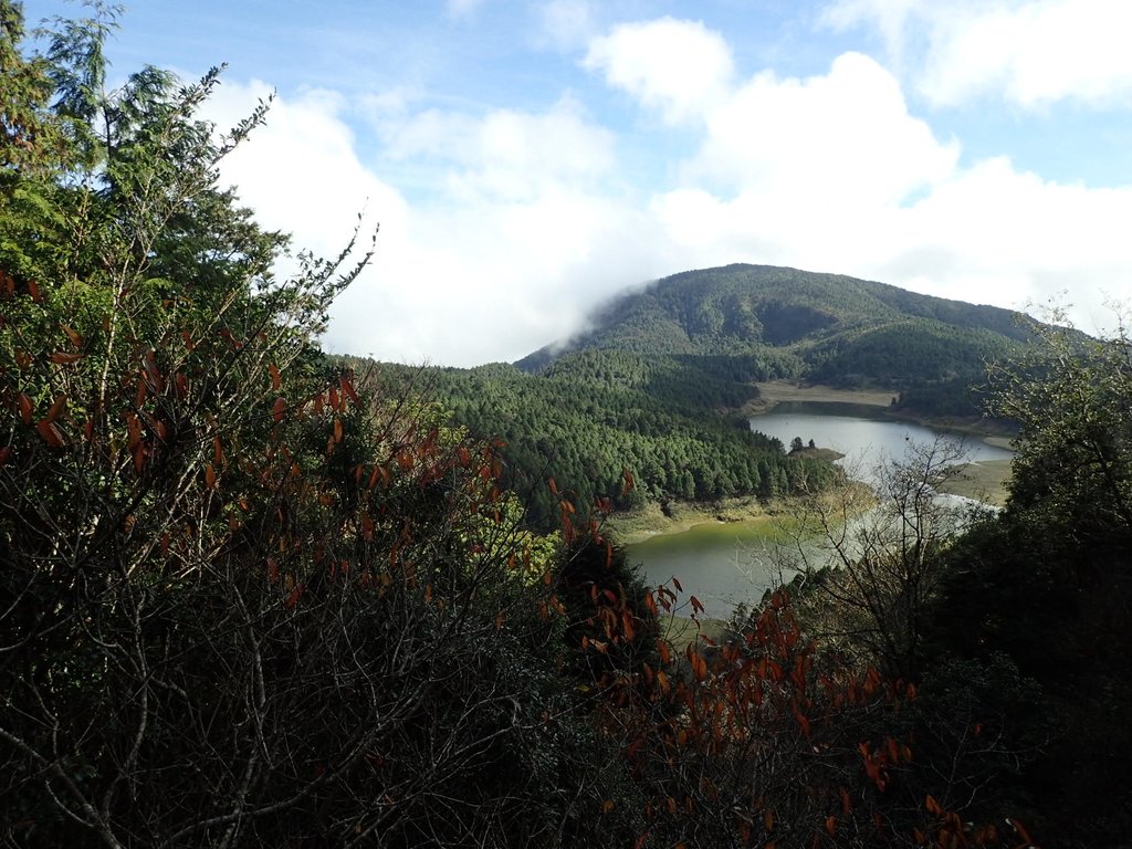 PB265463.JPG - 太平山  翠峰湖環山步道  02