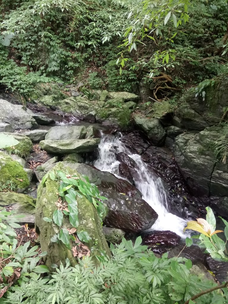 DSC_2793.JPG - 礁溪  聖母登山步道  (抹茶山)