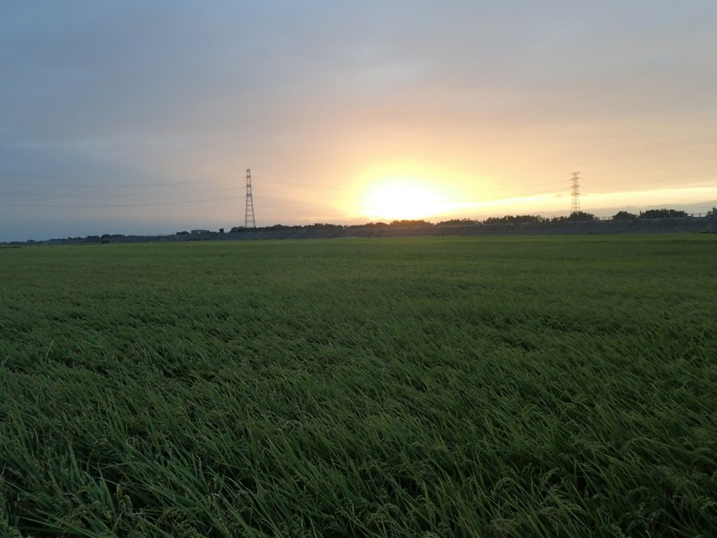 PC071391.JPG - 溪口  潭肚田野  夕陽之美