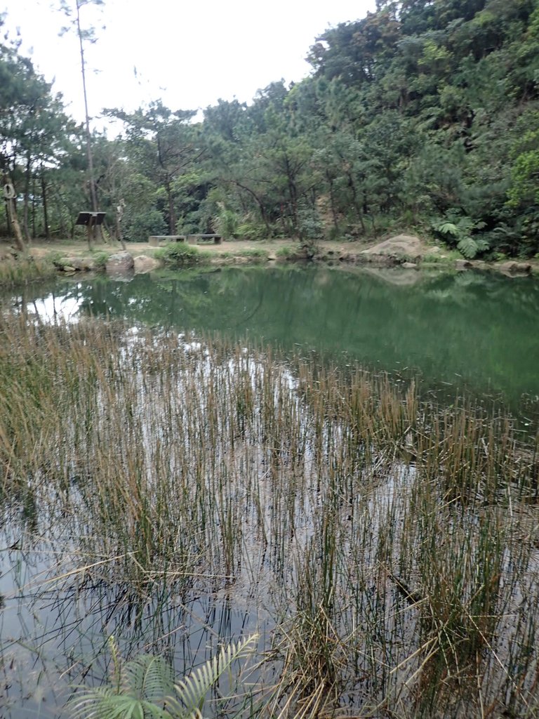 P3160130.JPG - 汐止  柯子林山  如意湖