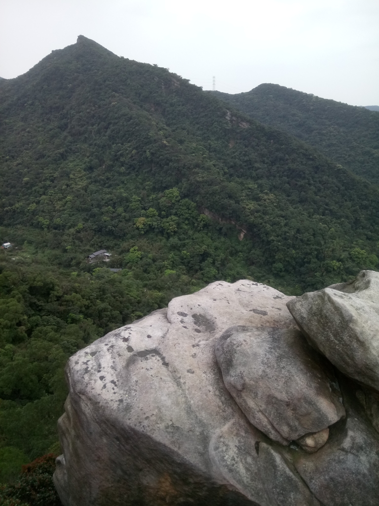 DSC_7031.JPG - 汐止  金面山(金明山)  稜線步道