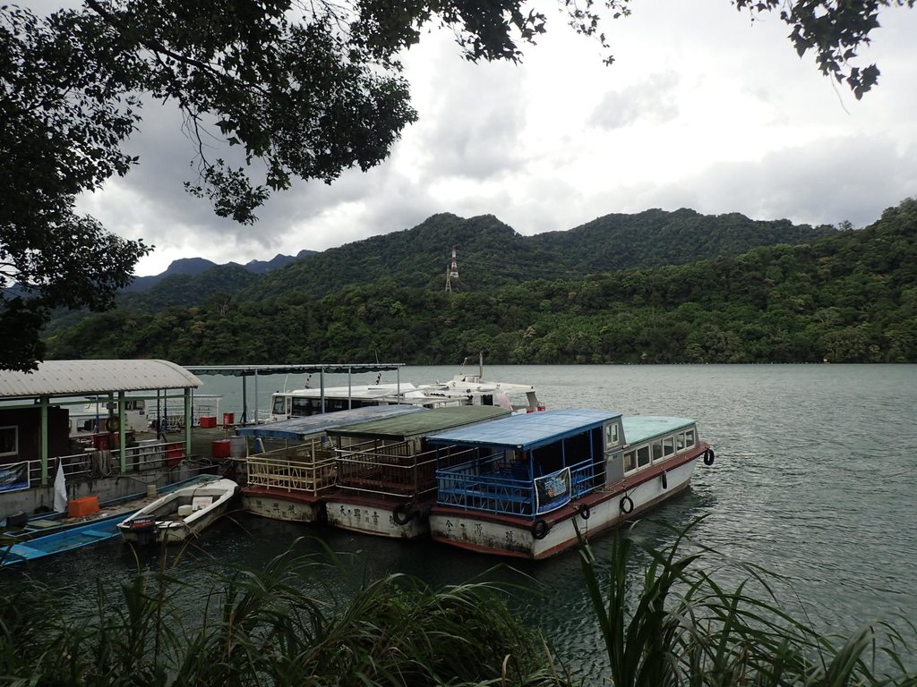 P8247043.JPG - 雨中漫遊  石門水庫