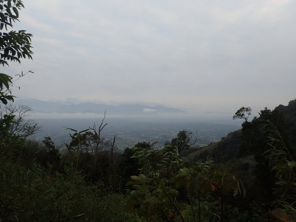 P1294575.JPG - 大湖  關刀山步道  (聖關段)