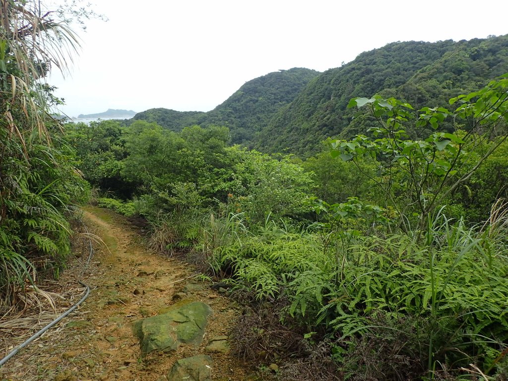 P3308244.JPG - 萬里  大路嶺古道行