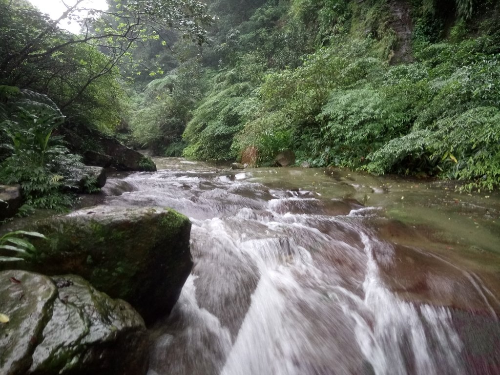 DSC_0180.JPG - 汐止  江子寮絕壁步道