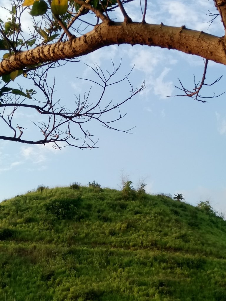 DSC_5851.JPG - 龍井  竹坑南寮登山步道