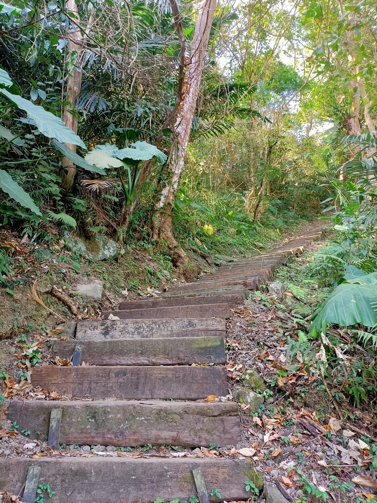 IMG20210130104151.jpg - 竹崎  獨立山登山步道