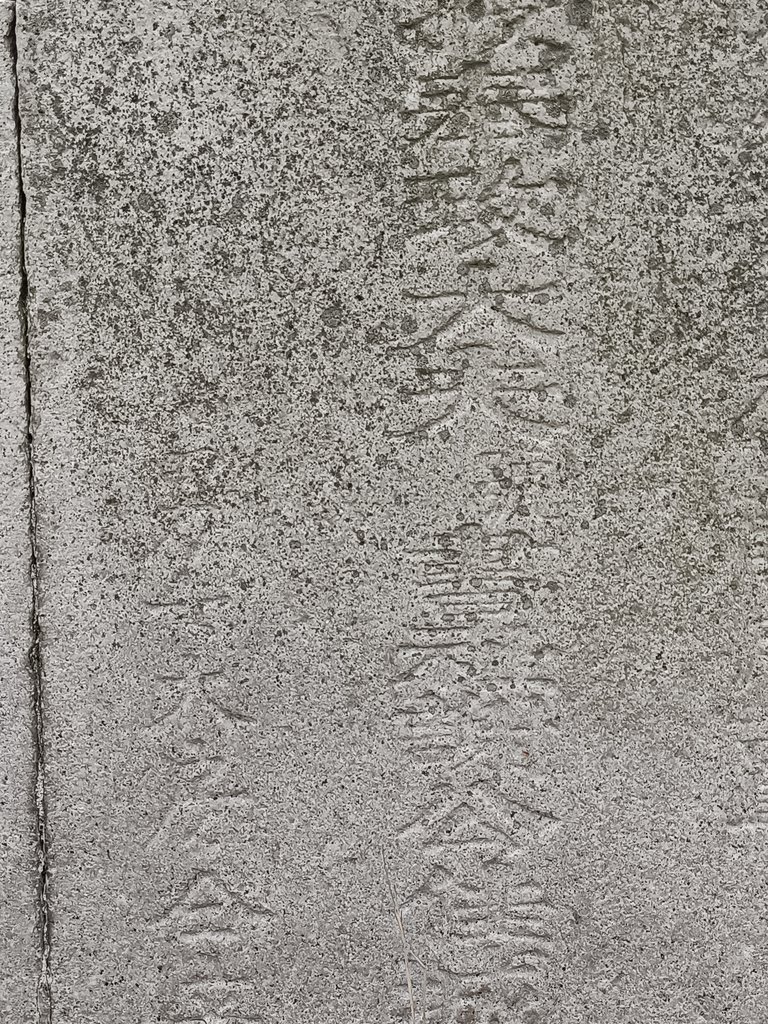 IMG20210411091518.jpg - 大甲  誥授奉政大夫  謝書敬慕