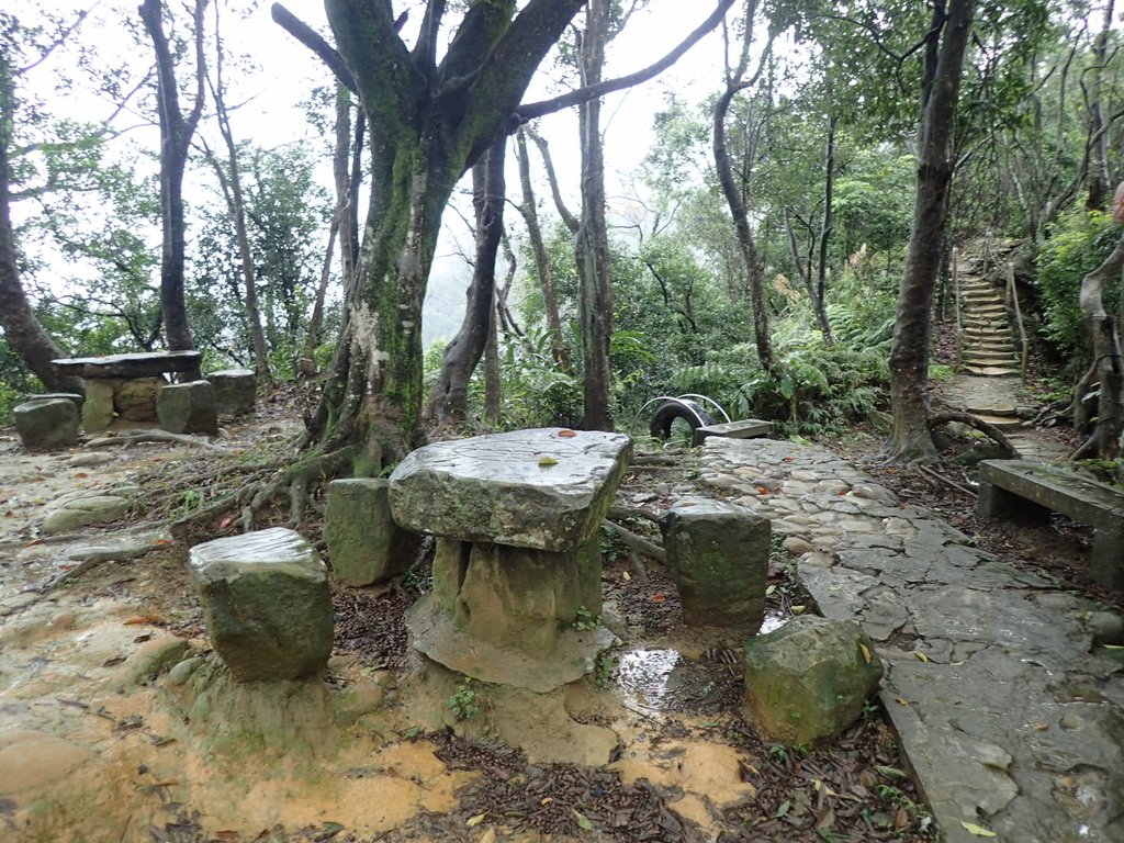 P1062039.JPG - 土城  天上山  登山步道