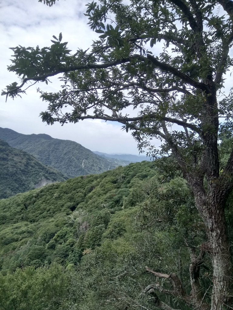 DSC_9555.JPG - 苗栗  泰安  虎山行