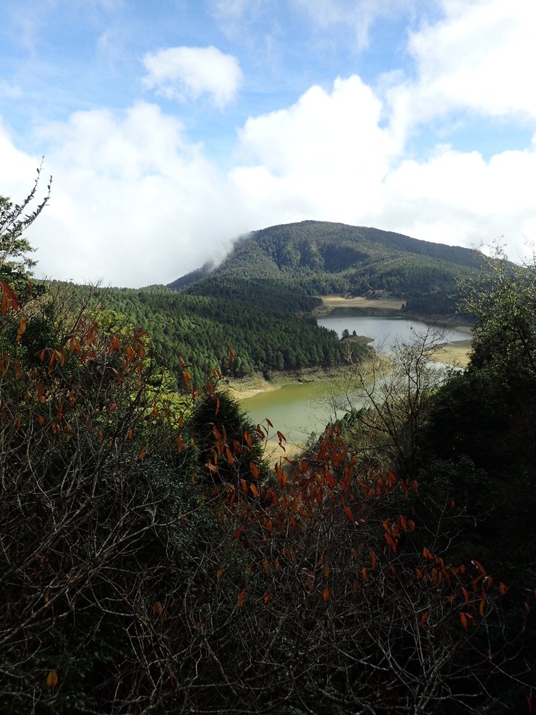 PB265467.JPG - 太平山  翠峰湖環山步道  02