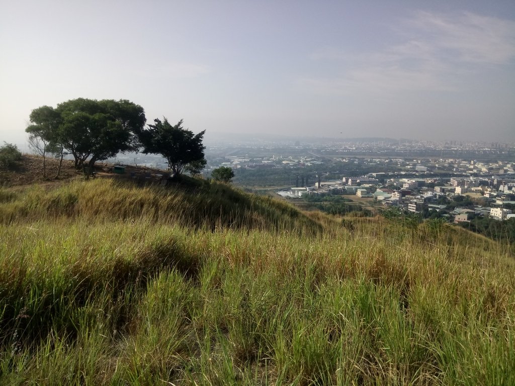 DSC_1817.JPG - 烏日  學田山登山步道