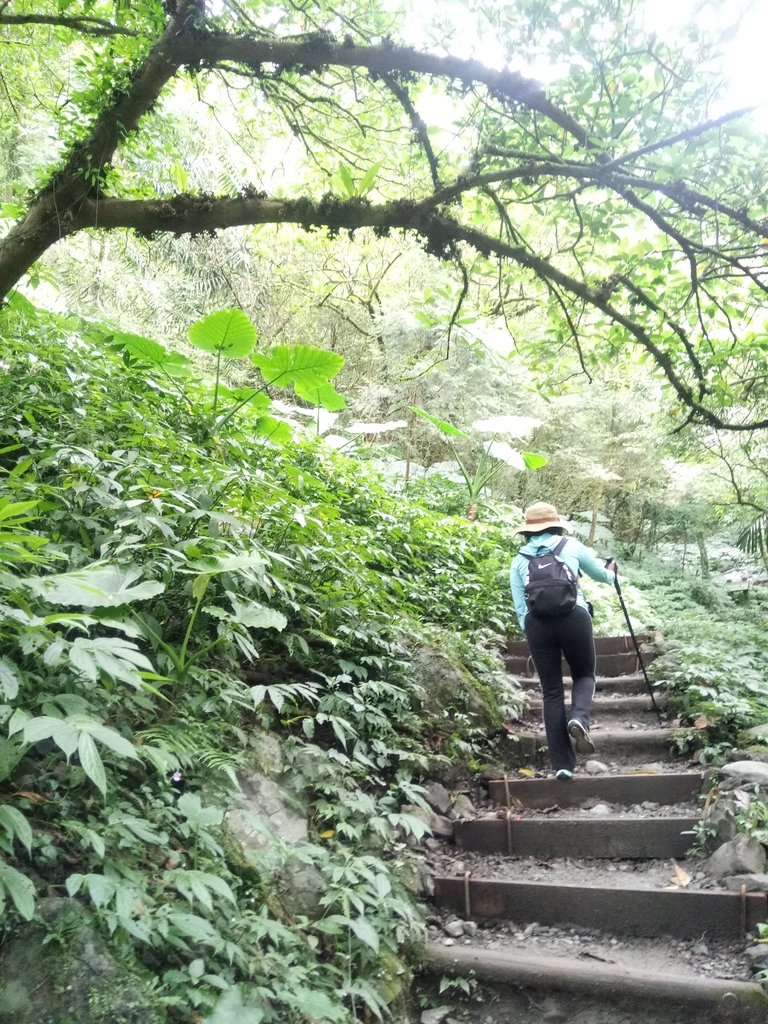 DSC_2798.JPG - 礁溪  聖母登山步道  (抹茶山)