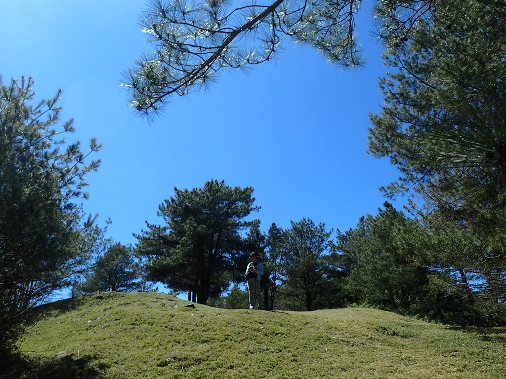 P3268119.JPG - 鹿林山  麟趾山步道  (02)