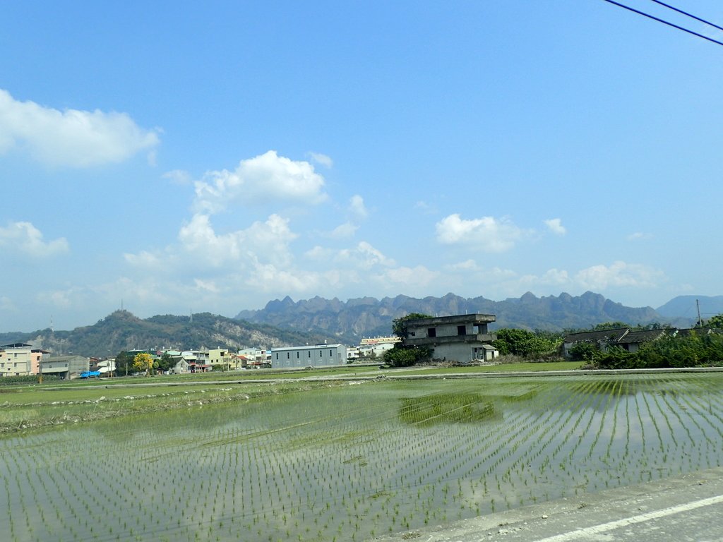 P3016035.JPG - 草屯平林  九九峰森林步道