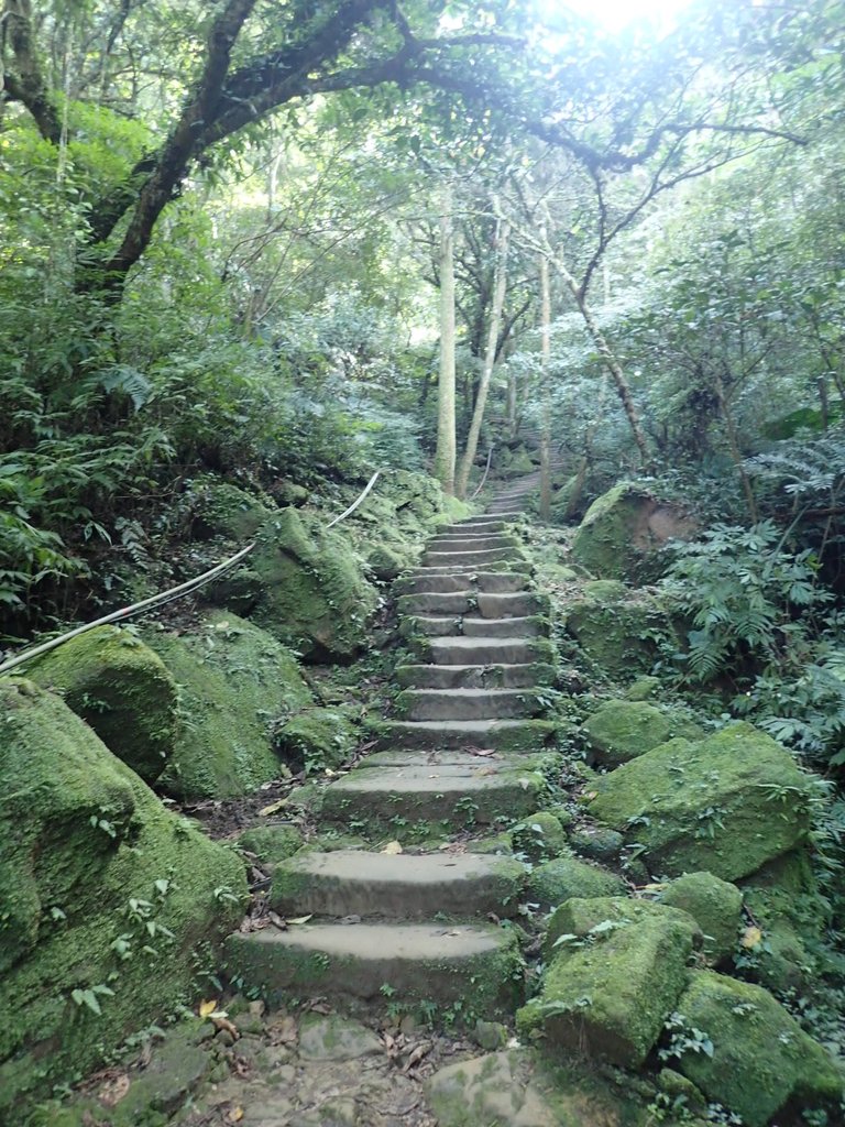 P1224263.JPG - 再訪---  平溪  孝子山登山步道