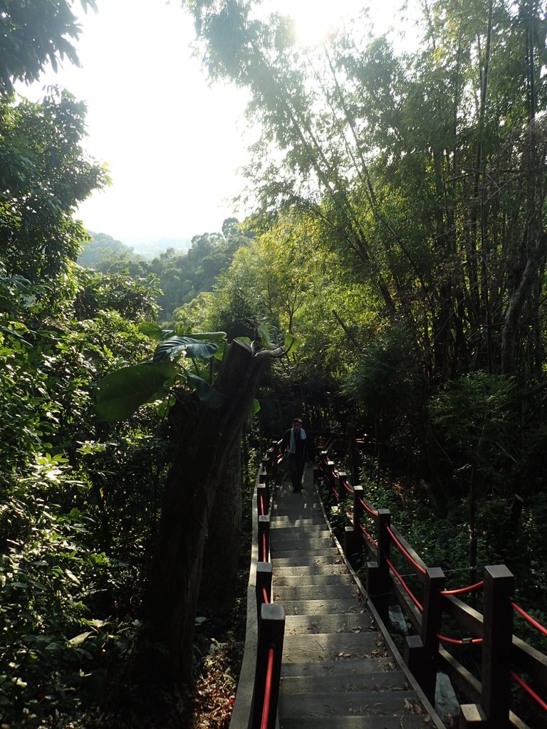 P1123655.JPG - 潭子 聚興山  新田登山步道