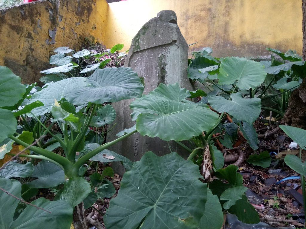 DSC_9184.JPG - 臨濟護國禪寺  日治遺跡巡禮