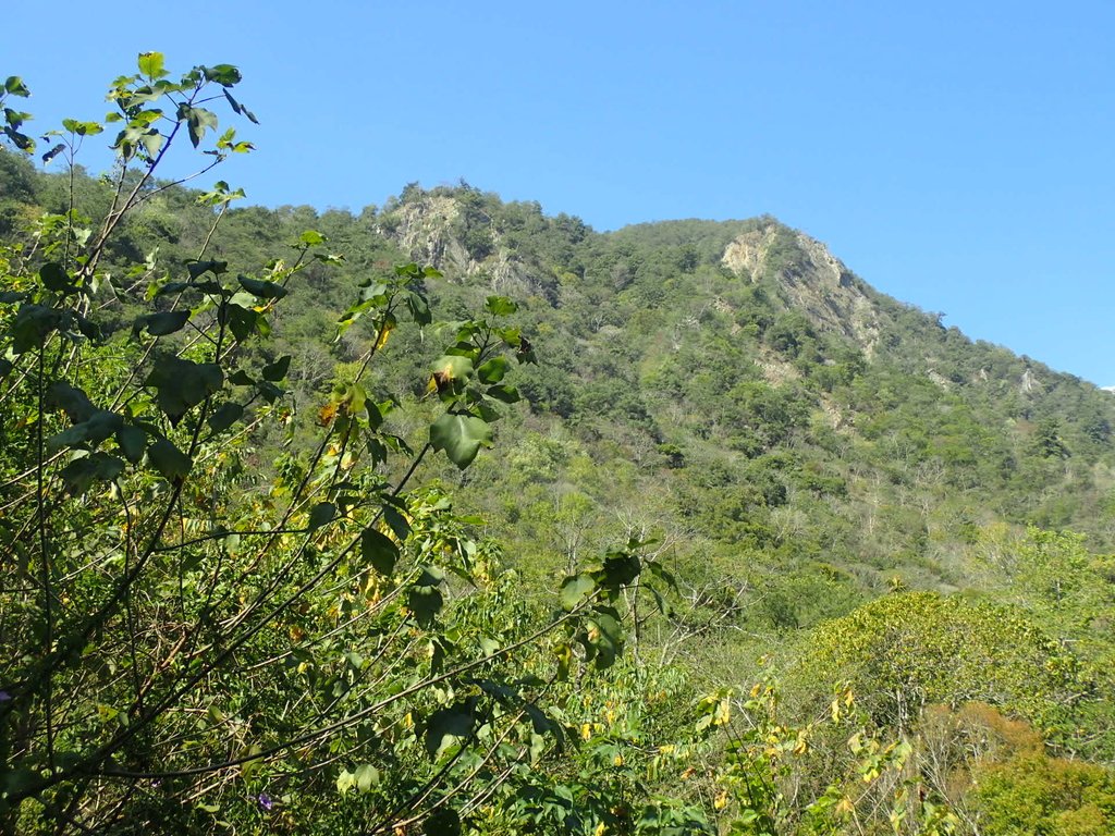 P2275989.JPG - 太平  暗影山(酒桶山)